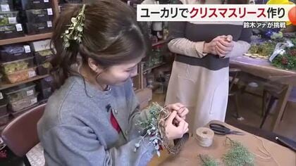 「簡単にできる」愛媛特産のユーカリでクリスマスリースづくり　松山の生花店から作り方レクチャー【愛媛】