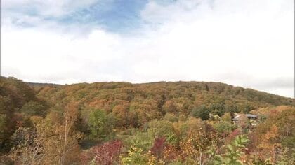 「素晴らしい青空と紅葉」秋深まり八幡平で多くの観光客が紅葉狩り楽しむ　秋田・鹿角市