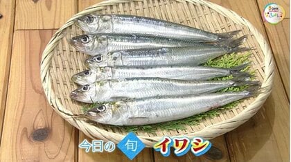 脂のり抜群な旬の魚「イワシ」　“身近で貴重”な青魚をショウガ煮で味わう【瀬戸内旬紀行　岡山・香川発】