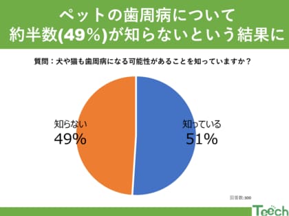 【Teech 歯科コラム】毎月12日はわんにゃんの日!ペットの歯周病について知っていますか?