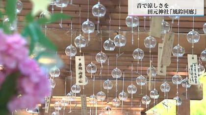 「疲れている時に音色を聞くと非常に癒される」風鈴回廊　涼しげな音色で暑さ和らぐ　宮崎市の田元神社