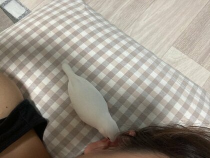 耳の中で「ビッ!!!!!!」“ドデカボイス”で叫ぶ文鳥が刺激的…何が目的？ちなみに「鼻の穴では叫びません」