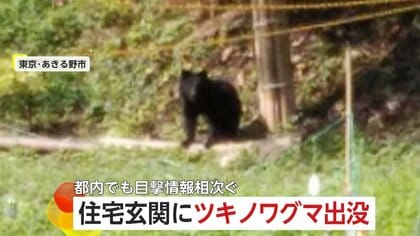 クマ鈴で音立てると事故予防に繋がる」目撃相次ぐ都内で“クマ講習会