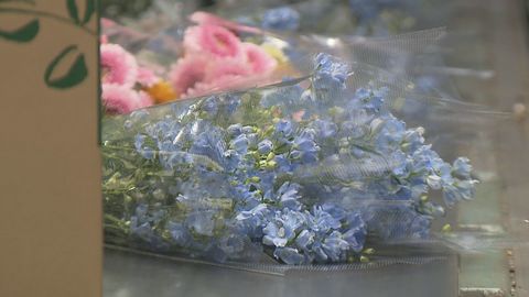 新型コロナに負けない お花屋さんが子供たちに花をプレゼントして笑顔を咲かせる