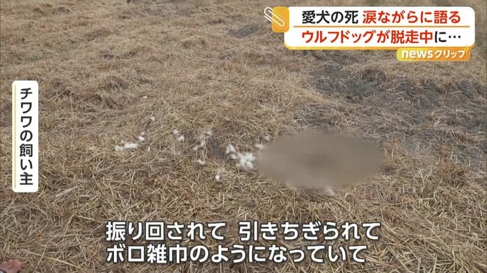 （1日、佐賀市）