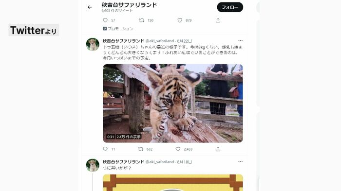 秋吉台サファリランドのTwitterより