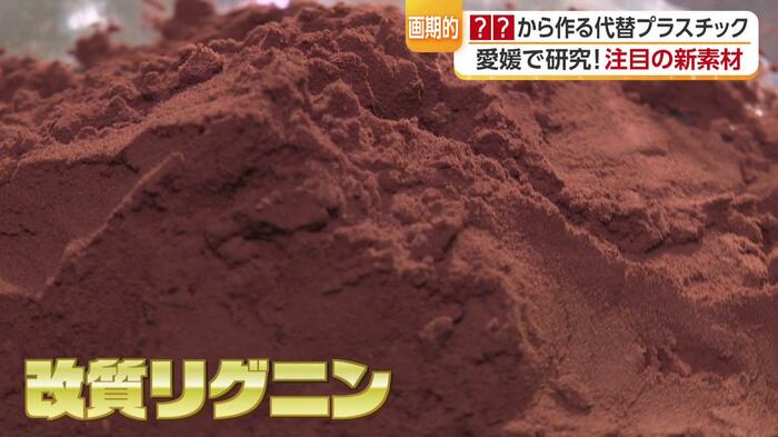 「スギ」由来の「リグニン」