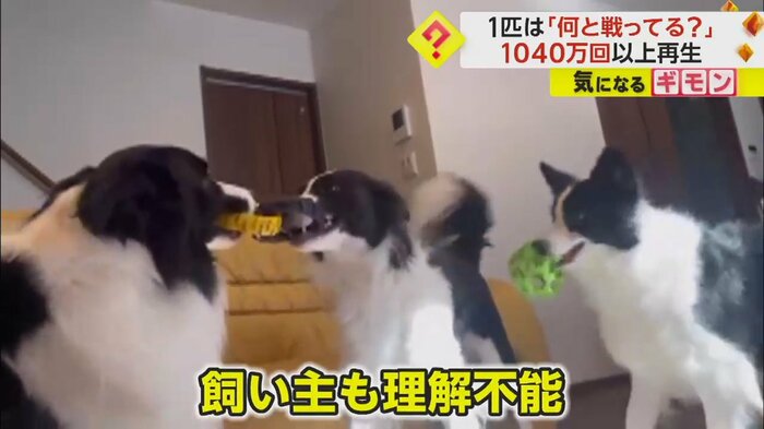 (視聴者撮影)