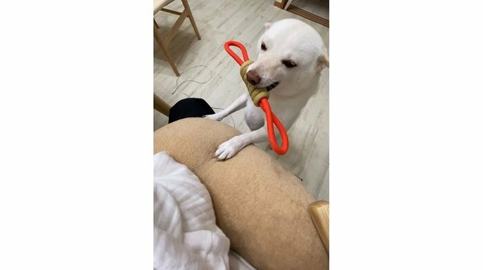 「どうぞ」
