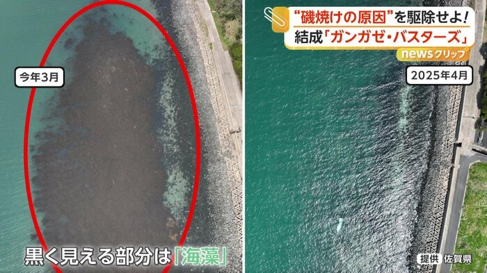 1年ほど経って海藻が増えた海