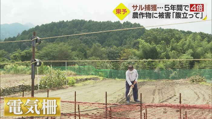 畑の周囲に設置された電気柵