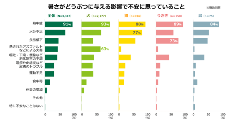 どうぶつたちの“暑さ”対策、ほぼ100％の飼い主様が実施中！
