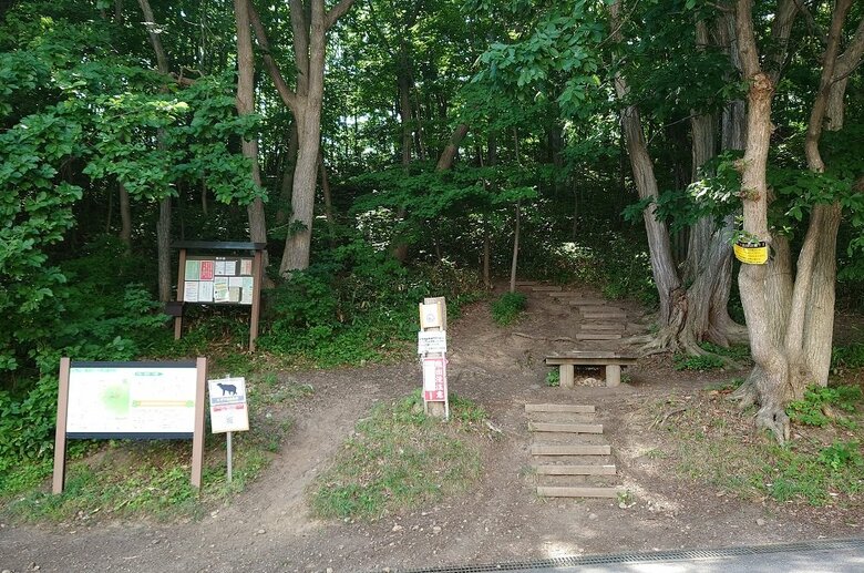 【ヒグマ速報】”ナイト登山”中に茂みからガサガサ音…ライトを向けるとそこにはクマが！さらに10メートルまで近づいてくる_警察が登山客に注意呼びかけ＜札幌市西区の三角山＞｜FNNプライムオンライン
