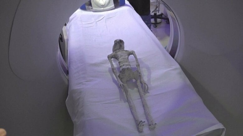 宇宙人？“人間ではない”死体をCTスキャン、X線検査　「組み立てられた痕跡ない」メキシコ議会で公開｜FNNプライムオンライン