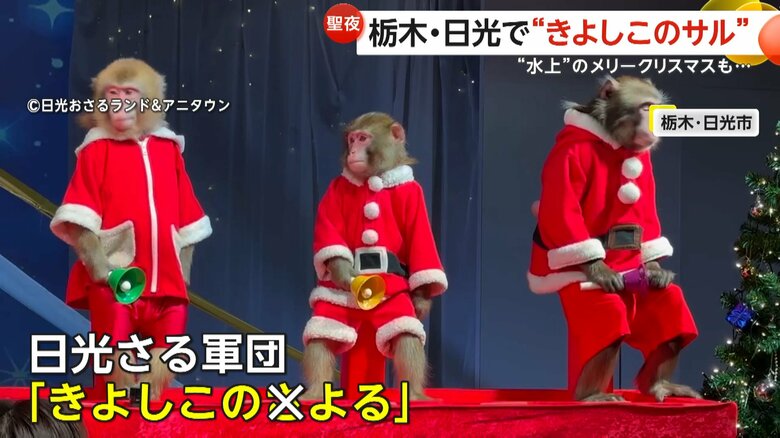 日光さる軍団が“きよしこの夜”をハンドベル演奏　ギリシャのエーゲ海では“水上のメリークリスマス”　SUP選手たちがサンタ姿でボードに｜FNNプライムオンライン