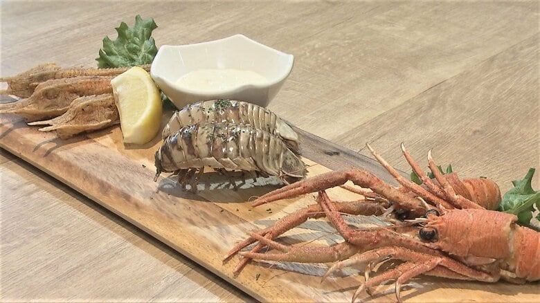 「日本最大のダンゴムシ」の味は…女性記者が実食　水族館で「深海生物のフライ」大人気【福岡発】｜FNNプライムオンライン
