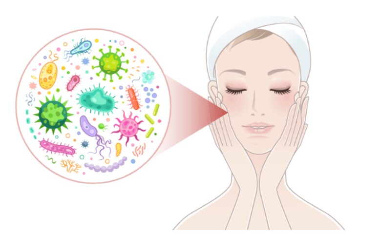 幹細胞培養上清液が皮膚マイクロバイオームへ影響を与えるかReU(株)が調査