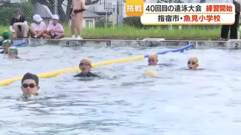 指宿市・知林ケ島遠泳大会　魚見小で練習開始、4〜6年生43人が1.5kmに挑戦【鹿児島】｜FNNプライムオンライン