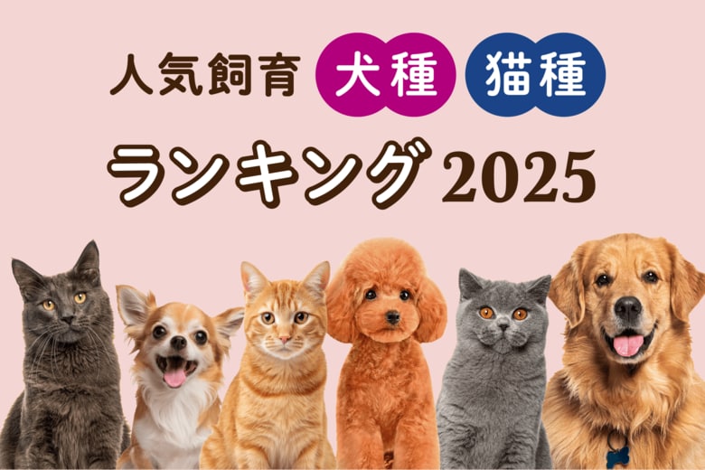 「人気飼育犬種・猫種ランキング2025年版」発表！