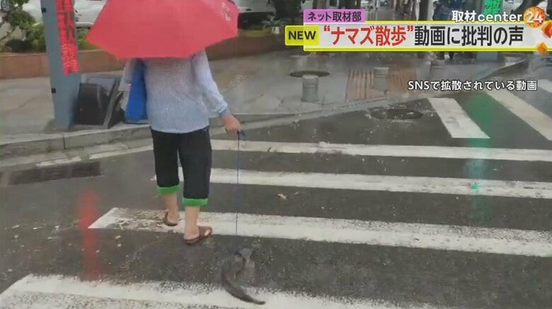 【物議】中国・広東省で撮影？雨の日の“ナマズ散歩”動画がSNSで拡散　「虐待だ」「痛そう」批判の声相次ぐ｜FNNプライムオンライン