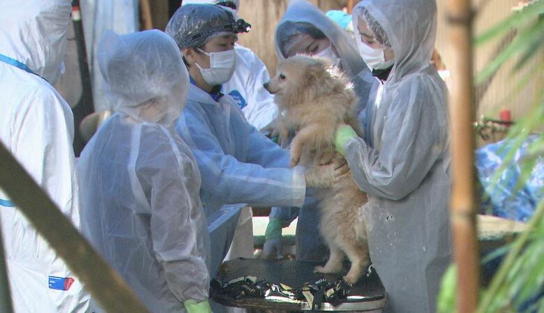 犬虐待事件の家宅捜索(2021年9月・長野県松本市)