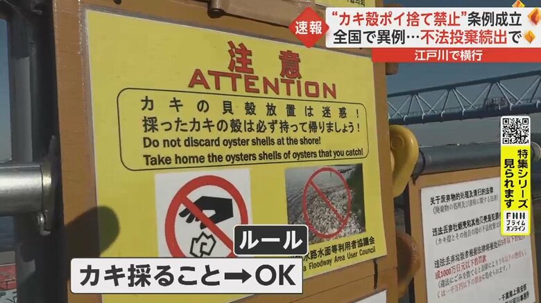 採ること自体は禁止されていない 殻を持ち帰るのがルール