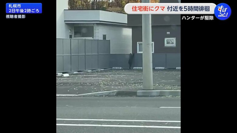 札幌市南区の住宅街に、2日午前11時半ごろから体長70cmほどの子グマ1頭が出没