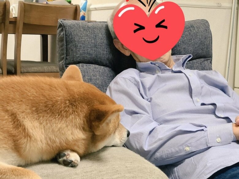 最新2ショット（提供：犬さん）