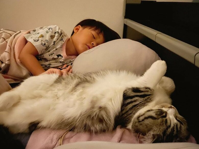 夜は一緒に寝ることもあるそう