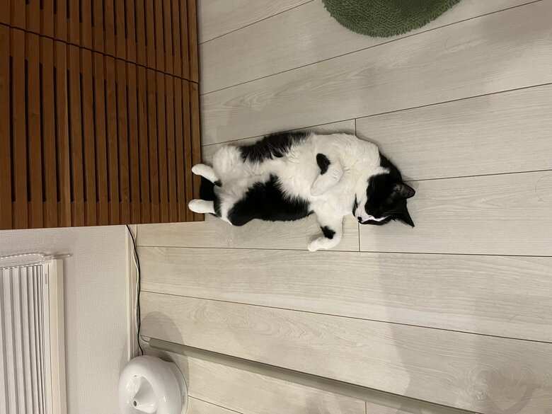 提供：卵山玉子先生