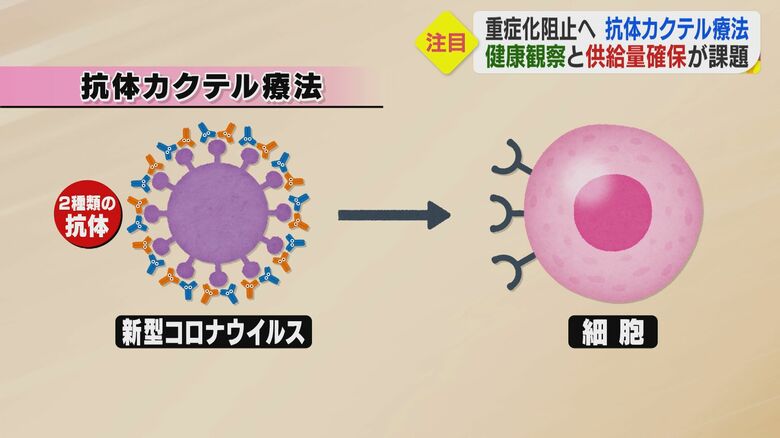 抗体が細胞より先にウイルスと結合