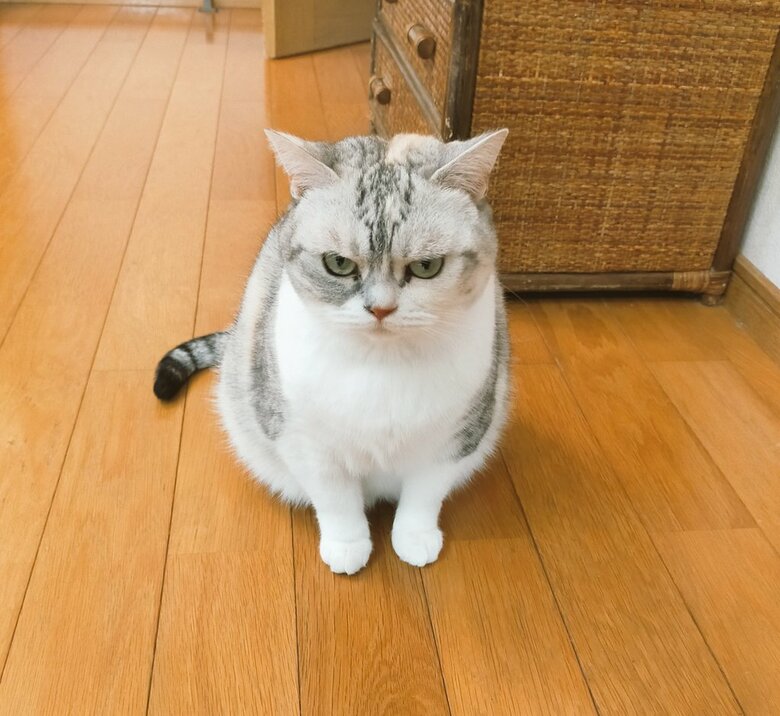 提供：まさまささん