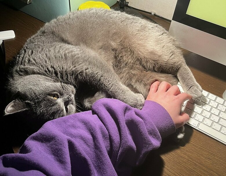 キーボードが押せない…