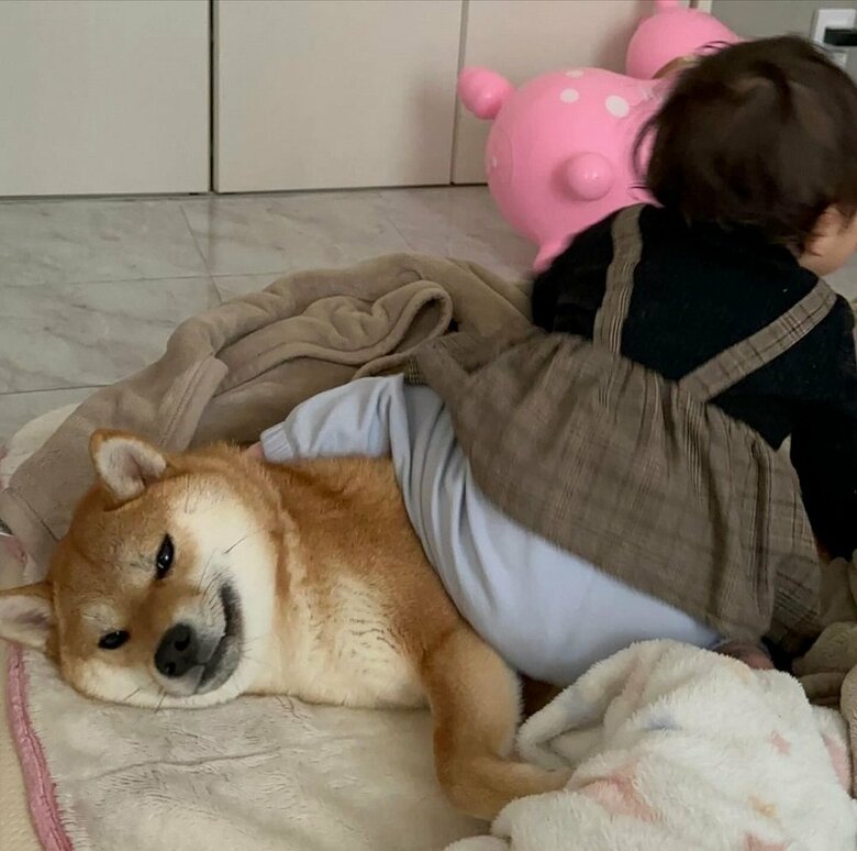 むぎちゃんは“姉”の気持ち