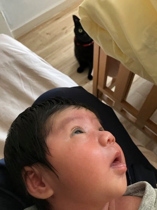 提供：ことねさん