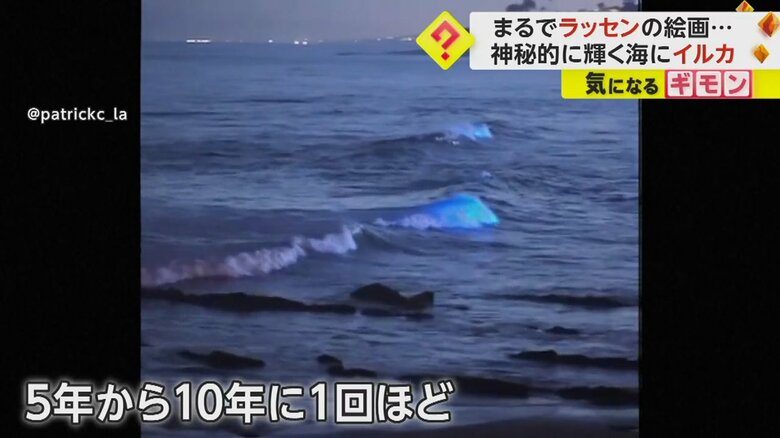 5年から10年の1回ほどしか見られなかったという風景
