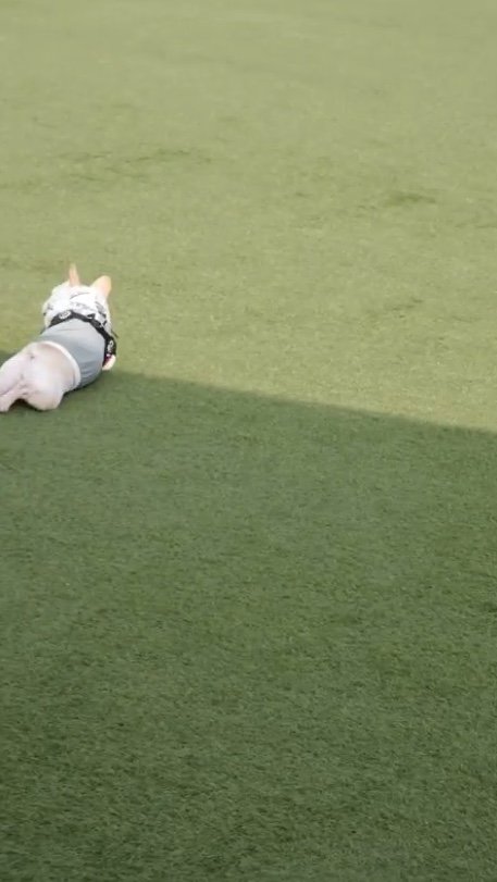 提供：むぎさん