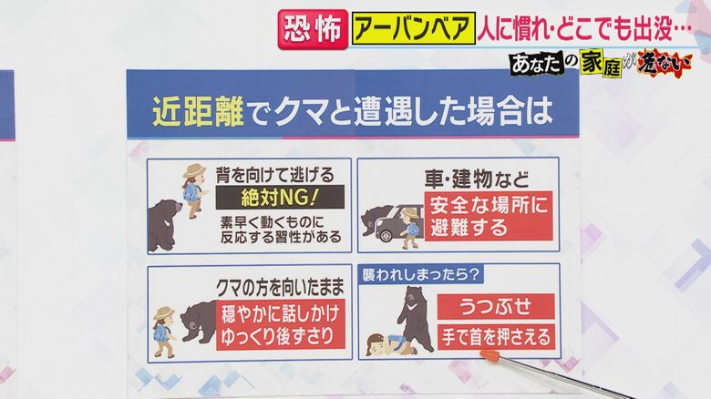 近距離でクマと遭遇した場合は