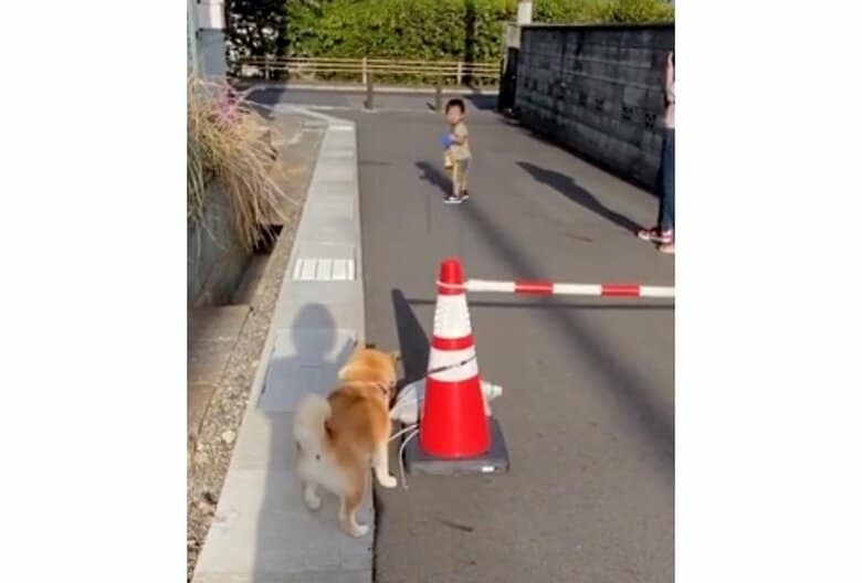 提供：yasumi.219さん