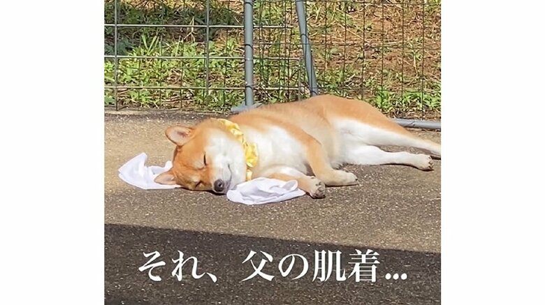 お父さんのにおいがするのか…幸せそうなむぎちゃん
