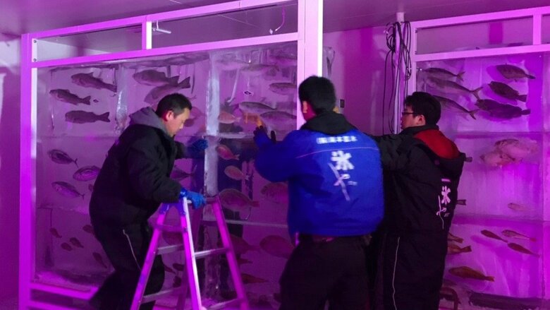 展示は定期的に入れ替える