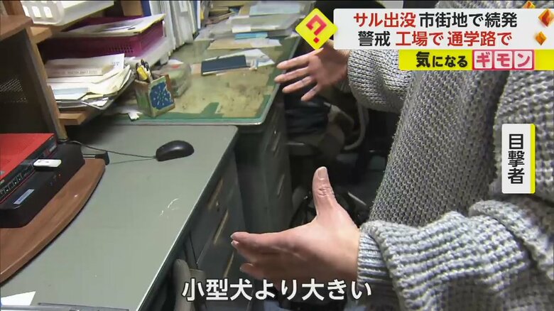 防犯カメラに映ったサルを実際に見た様子を話す目撃者