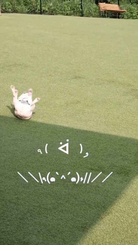 提供：むぎさん