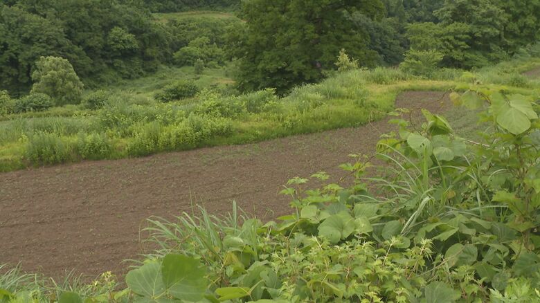 水の張られていない田んぼ
