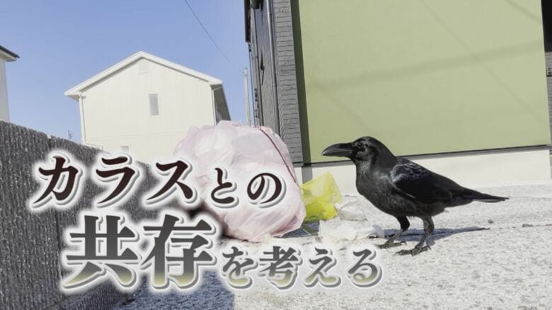 「排除」ではなく「共存」を