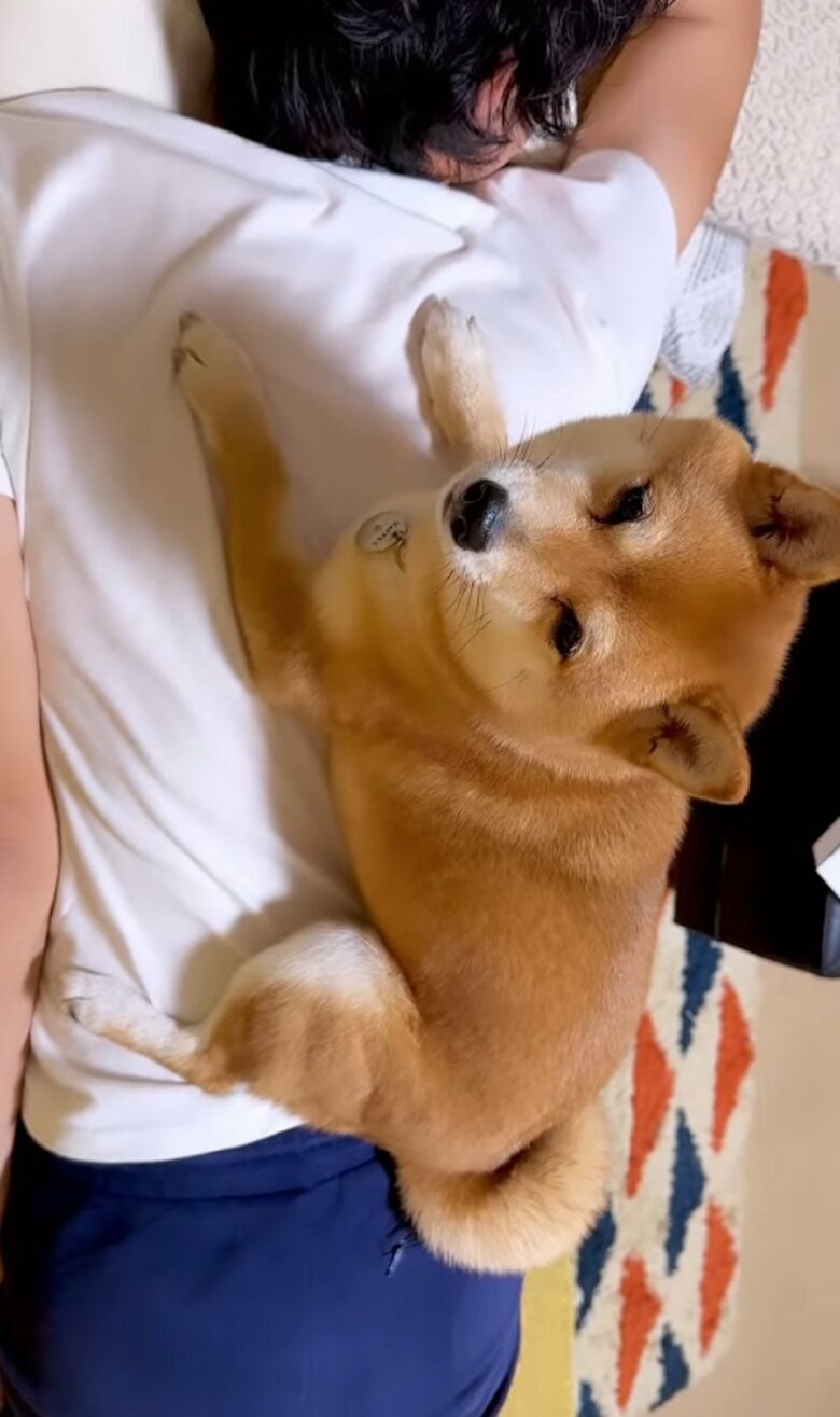 パパさんの背中に乗ってまったり