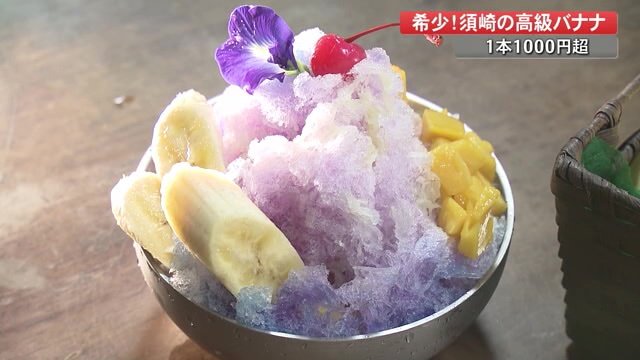 食用花で色を出した青い自家製ジュース＆レモン果汁をかけて鮮やかな紫色に