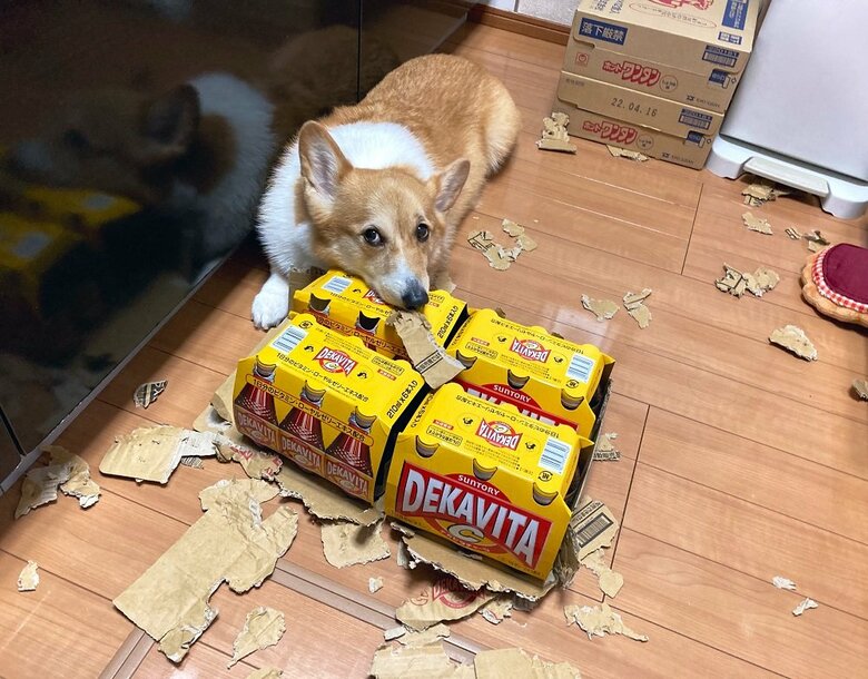 解体職人の一面も