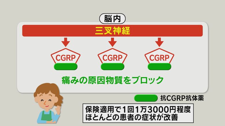 抗CGRP抗体薬の仕組み