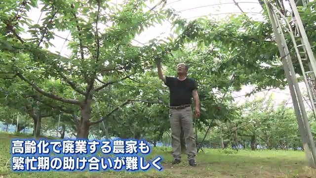みちのく観光果樹園　社長の片平新一さん